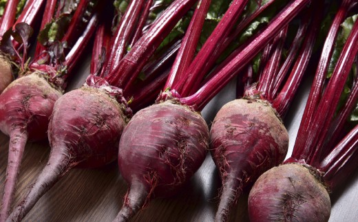 自社農園栽培 生ビーツ1kg