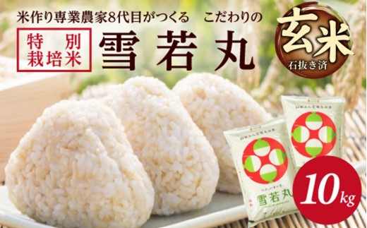 【令和8年産 新米予約】［玄米］特別栽培米 雪若丸　10kg(5kg×2袋) 「農家直送」 KA SC0674