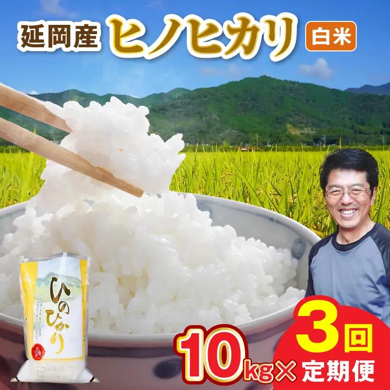 延岡産ヒノヒカリ（白米）10kg 3ヶ月定期便 N0218-YG0260