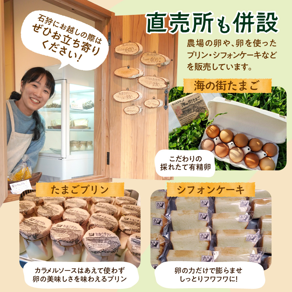 飛ぶ鳥農場　海の街たまごを使用したシフォンケーキ　1箱（8カット）