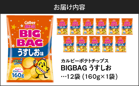 【 期間限定 特別価格 】 カルビー ポテトチップス BIGBAG 【 うすしお 】 12袋 K194-002_04 ポテチ チップス 菓子 お菓子 スナック スナック菓子 おやつ おかし じゃがいも