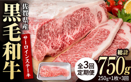 【3回定期便】佐賀県産 黒毛和牛 サーロインステーキ 250g /ステーキ [IAG084]