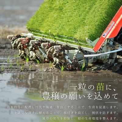 ふるさと納税 三条市 新潟県三条市保内産コシヒカリ 1等米 3kg 2025年産コシヒカリ 【010S706】 |  | 02