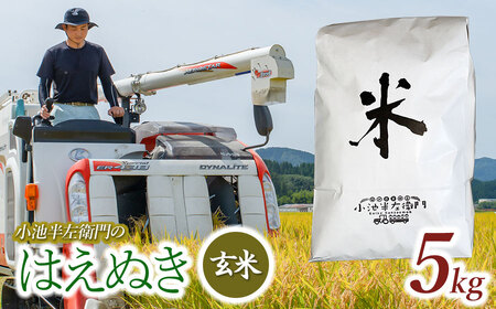 数量限定 【令和7年産】【新米】 山形県庄内産 小池半左衛門のお米 はえぬき 玄米 5kg (5kg×1袋)