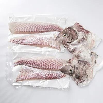 ふるさと納税 松浦市 鷹島のおいしかタイ(1.2kg) |  | 03