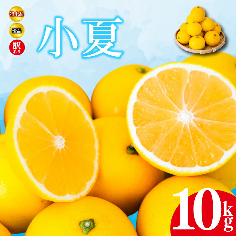 【ふるさと納税】 【 2026年4月より発送 】 小夏 10kg 特上品 贈答用 優品 家庭用 訳あり 高知県産 早期予約 柑橘 フルーツ 果物 みかん ミカン 蜜柑 こなつ ニューサマーオレンジ 日向夏 産地直送 大小混合品 高知県 須崎 KJS008