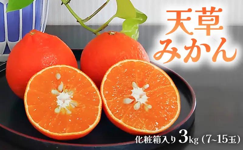 みかん 天草 あまくさ 化粧箱入り みかん【3kg 7〜15玉】