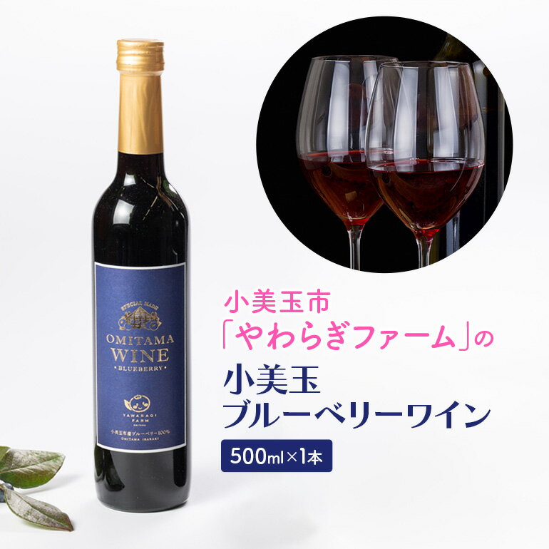 【ふるさと納税】小美玉ブルーベリーワイン1本 ブルーベリー ワイン ブルーベリーワイン フルーツ 果物 ビタミンE アントシアニン 栄養 ギフト 贈り物 茨城県産 プレゼント お酒 美味しい お祝い 9−J