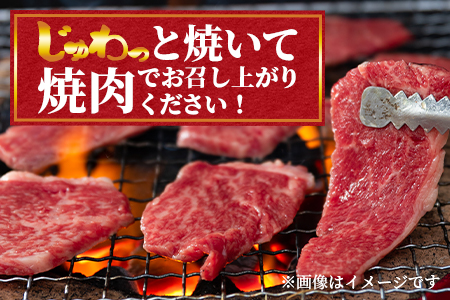 ＜宮崎牛ウデ焼肉と宮崎県産和牛小間切れ 総量600g＞【数量限定】【MI141-my】【ミヤチク】