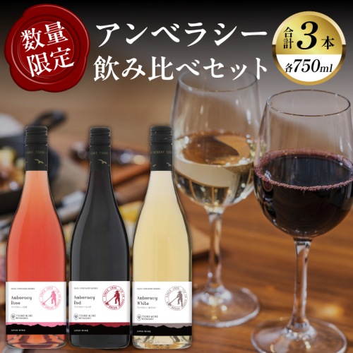 【数量限定】アンベラシー飲み比べ３本セット(レッド・ロゼ・ホワイト) 酒 飲料 アルコール 国産_T014-009