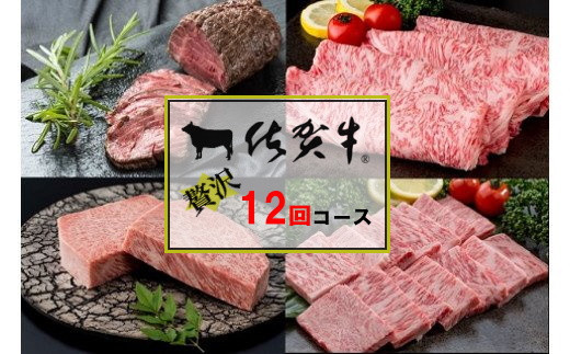 佐賀牛毎月贅沢便12回ｺｰｽ 999-J903