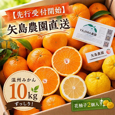 【ふるさと納税】温州みかん10kg花柚子2個入り★ 甘味と酸味のバランスが良く、濃厚な香りが特徴です【先行予約】【1768096】