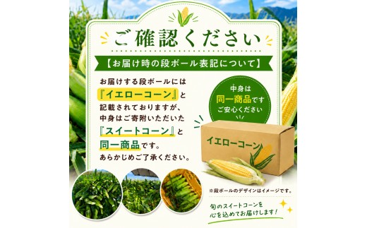 必ずご確認の上、ご寄附をお願いします。