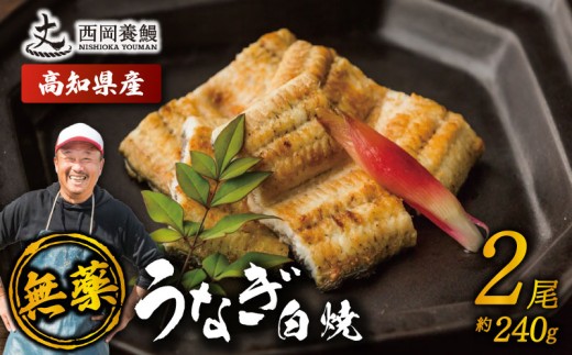 完全無投薬 鰻白焼 国産 うなぎ白焼 240g ( 120g × 2尾 ) 鰻 厳選 無薬 うなぎ 白焼き 白やき 国産うなぎ 国産鰻 人気 鰻白焼き 特製タレ 山椒 セット 湯煎 簡単調理 旨味 風味 香ばしい うな重 土用の丑の日 夏バテ対策 スタミナ食 ギフト 贈り物 贈答 お取り寄せ グルメ 高級 うなぎ料理 こだわり 冷凍 高知県産 ランキング おすすめ 西岡養鰻 安芸市 高知県