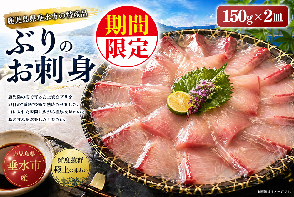 【冬季限定】瞬熟ぶり刺身 2皿（1皿/17cm皿・150g）