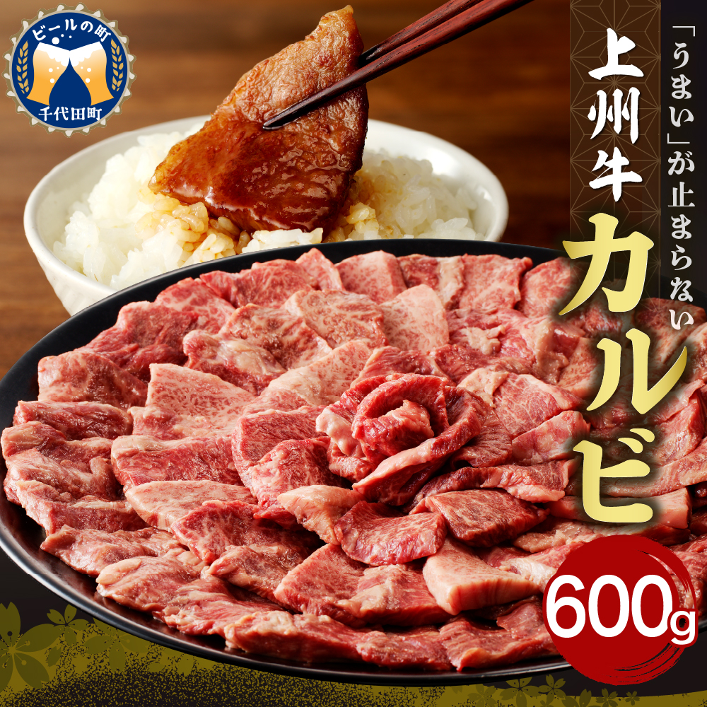 牛肉 カルビ 【上州牛】 600g  群馬 県 千代田町 ch013-004rhr