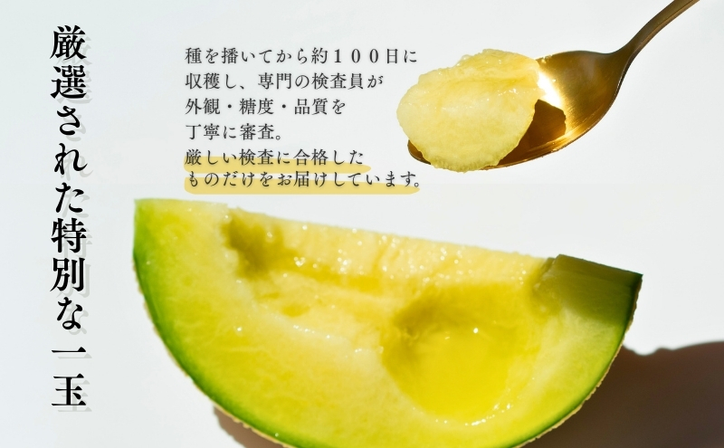 クラウンメロン【並（白等級）】中玉（1.3kg前後）1玉入り（12か月連続お届け）