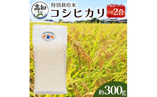 【令和8年度産】 米（コシヒカリ） 2合（300g) ×30 お米 精米 こしひかり 2合 特別栽培 真空包装 真空パック 使い切り SDGs 備蓄 こめ コメ お米 おこめ ライス ke-0065