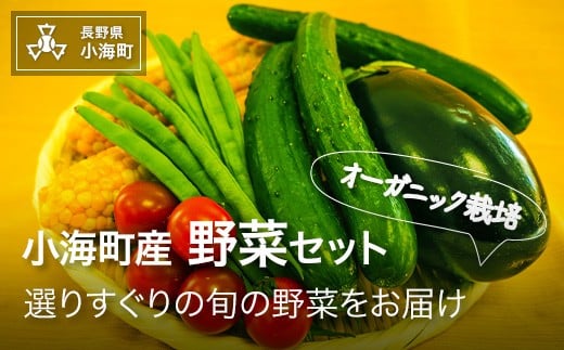 
小海産野菜セット［さかまき農園］
