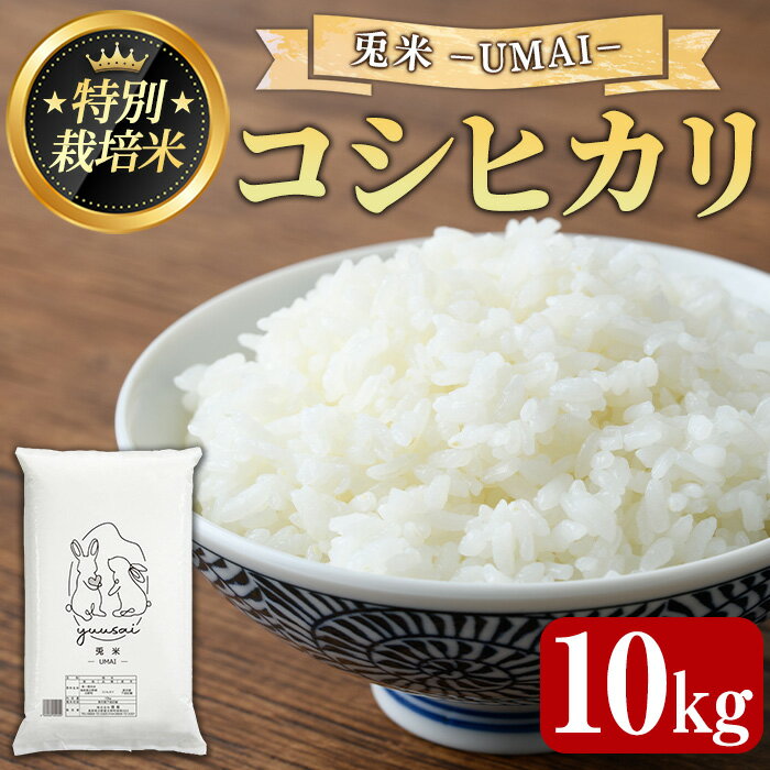 【ふるさと納税】＜令和7年産新米・先行予約受付中！2025年10月中旬以降順次発送予定＞＜数量限定＞特別栽培米！兎米-UMAI- コシヒカリ(10kg) 鳥取県 米白 米 コメ こめ お米 おこめ こしひかり 精米 ごはん ご飯 10キロ 【sm-EC001】【優栽】