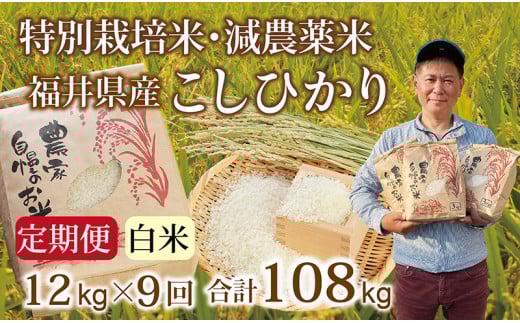 〈先行予約・新米〉【定期便９回】減農薬米 こしひかり 12kg(3kg×4袋) ／令和7年 福井県産 （白米）2025年10月発送 人気品種 少量サイズ便利