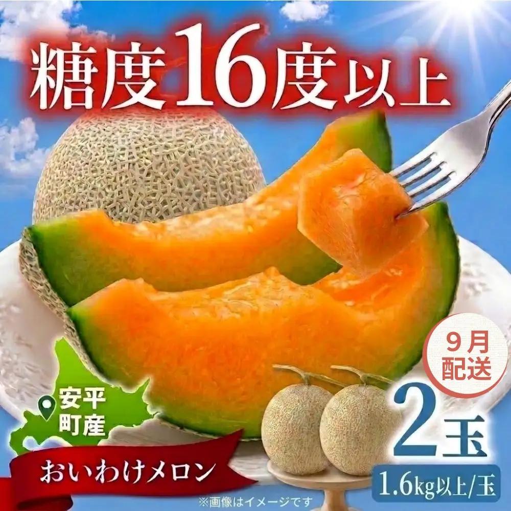 おいわけメロン 2玉 赤肉 糖度16度以上 先行予約【9月配送】
