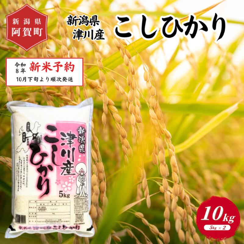 【ふるさと納税】 《 新米 コシヒカリ 新潟県 津川産》 米 10kg 新潟県産 コシヒカリ 令和8年産 5kg × 2袋 | 白米 精米 こしひかり 送料無料 お取り寄せ お米 ※2026年10月下旬頃より順次発送