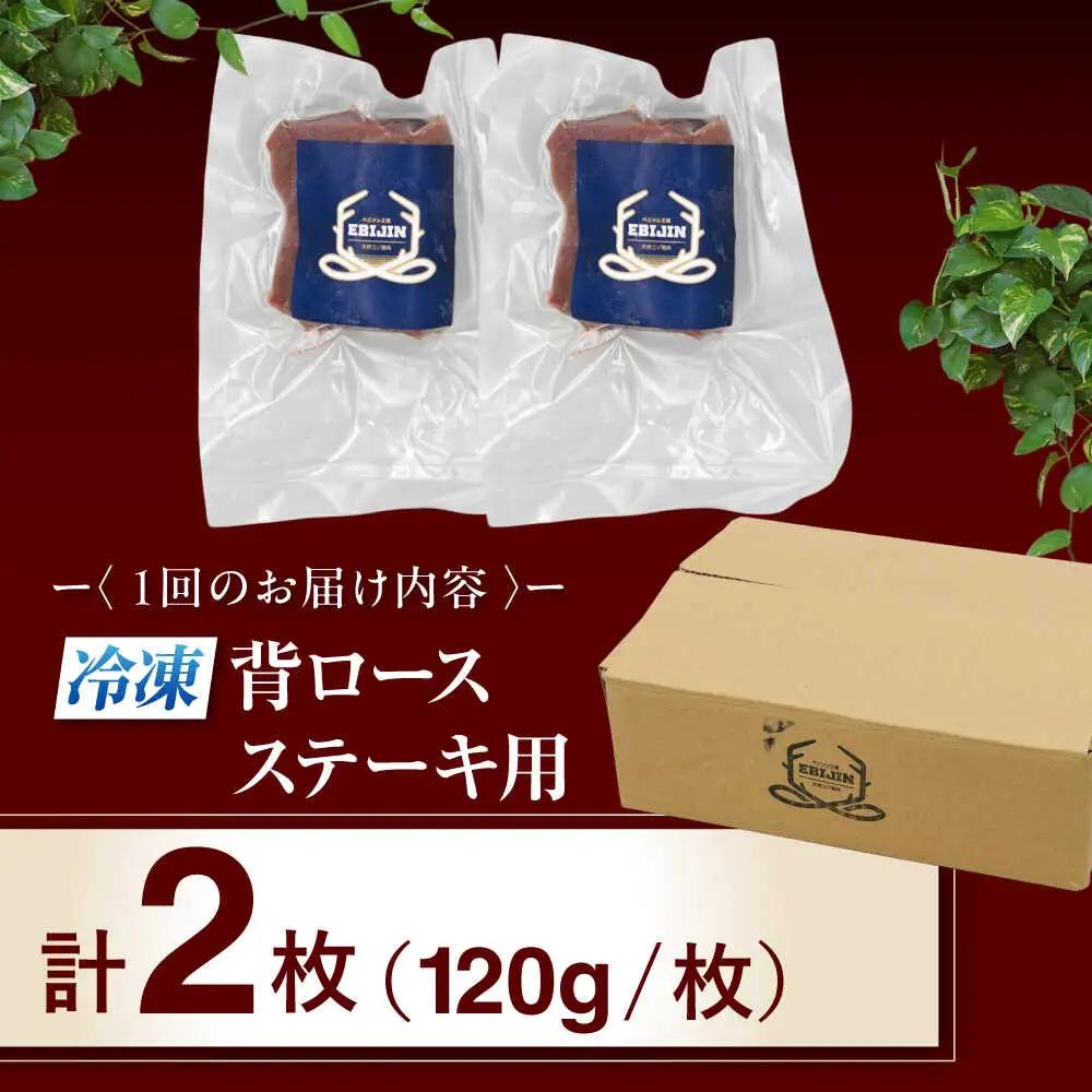 【全12回定期便】鹿肉 背ロース 2枚  ジビエ 赤身 冷凍配送 [AJAO070]