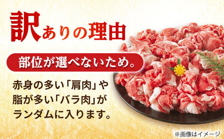 【全12回定期便】【訳あり】【A4～A5】長崎和牛焼肉切り落とし(肩ロース・バラ）　1kg（500g×2p）【株式会社 MEAT PLUS】[DBS048]