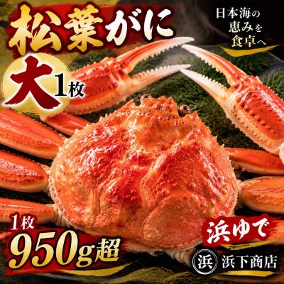 ふるさと納税 湯梨浜町 ■浜下商店■松葉ガニ大1枚〔浜ゆで〕(53MZ.)