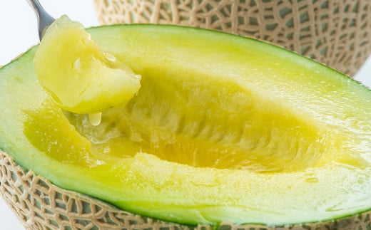 熊本県産 アールスメロン 1玉 1.6kg以上 【2026年5月上旬発送開始】 グリーンメロン メロン フルーツ 果物 くだもの 国産