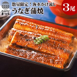 数量限定！海水かけ流しうなぎ蒲焼3尾 うなぎ蒲焼 うなぎ 鰻 ウナギ 逸品 海水 かけ流しうなぎ 鰻 ウナギ ミネラルが豊富 臭みがない 訳ありうなぎ 鰻 ウナギ 土用の丑の日 国産 うな重 うなぎ 鰻 ウナギ ひつまぶし タレ 長崎県産 うなぎ 鰻 ウナギ かばやき 冷凍 大容量 うなぎ 鰻 ウナギ 青うなぎ おいしい 美味しい うなぎ 鰻 ウナギ 贅沢 スタミナ 夏バテ 【C5-013】