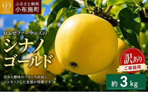 【訳あり】 シナノゴールド 約3kg 6～12玉 ［おぶせファーマーズ］ 不揃い 規格外 家庭用  果物 フルーツ りんご 林檎 リンゴ 長野県産 信州産 令和8年産 【2026年10月中旬～2027年1月上旬発送】 ［FH-53］