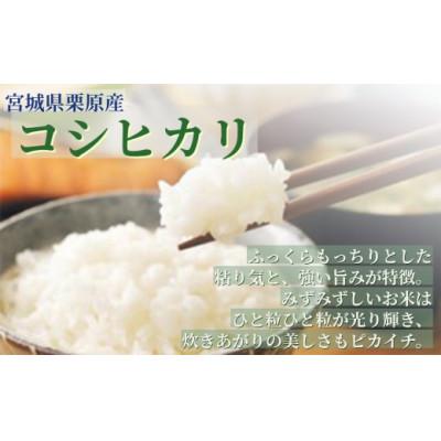 ふるさと納税 栗原市 【令和7年産】宮城栗原産 コシヒカリ 白米10kg (5kg×2袋) |  | 01