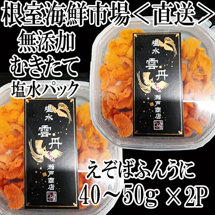 【ふるさと納税】無添加むきたてエゾバフンウニ(赤系)塩水パック 選べる 2P 5P 13P うに ウニ 雲丹 バフンウニ エゾバフンうに 海鮮 北海道 根室市