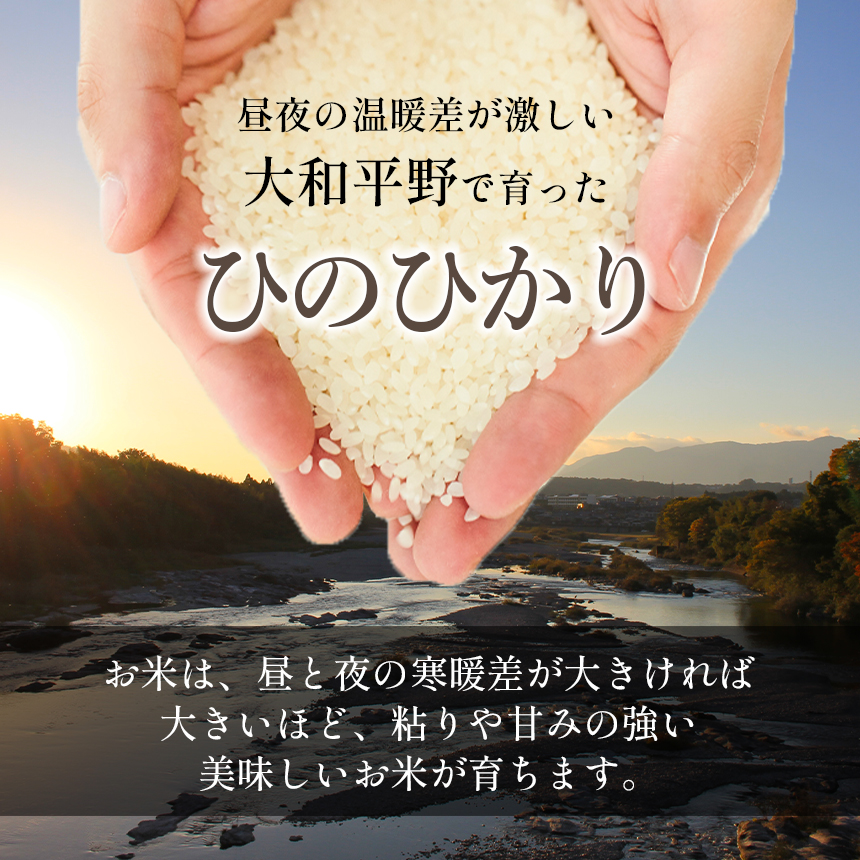 O8 無洗米 奈良大和路 ひのひかり 5㎏ | 単一米 コメ こめ ゴハン ご飯 ごはん 大容量 奈良県 大淀町 ヒノヒカリ もちもち