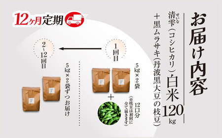 ＜令和7年10月中旬より発送！＞【12ヶ月定期】田んぼオーナーシップ12口分　清雫　白米10kg+ムラサキ（丹波黒大豆の枝豆）/ ふるさと納税 田んぼ オーナー制度 米 白米 令和7年度産 先行 定期