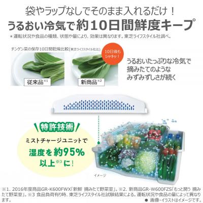 ふるさと納税 川崎市 東芝　冷蔵庫【標準設置費込み】　551L　6ドア　両開き　冷凍冷蔵庫　GR-Y550FZ(ZH) |  | 02