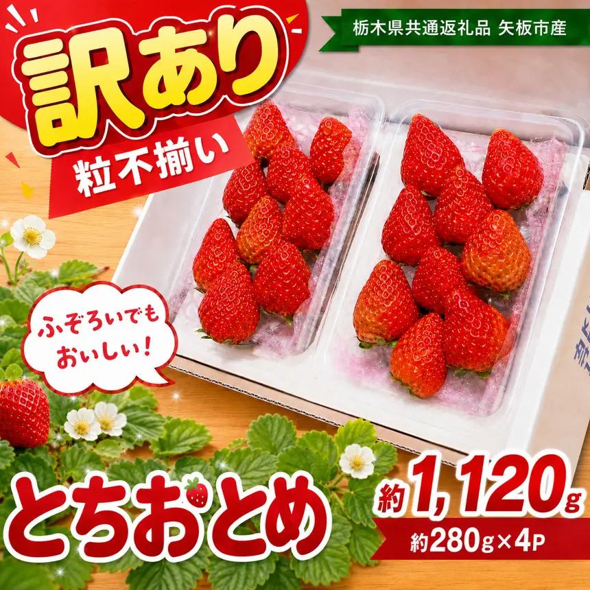 訳あり 粒不揃い とちあいか 1,120g (280g×4P) | 栃木県共通返礼品 矢板市産 いちご 果物 フルーツ 栃木県下野市
