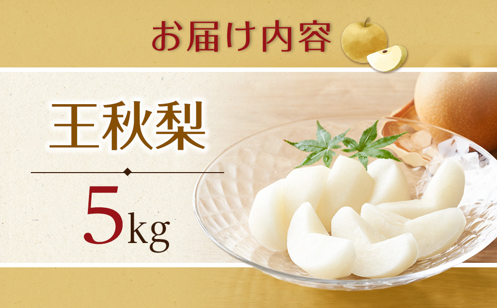 297.【先行予約】王秋梨　5kg前後（5～16玉前後）≪果物 フルーツ くだもの≫　※2026年10月下旬～12月上旬頃に順次発送予定