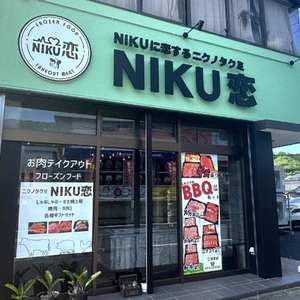 ロールキャベツ 3個×5P ： ロールキャベツ 冷凍ロールキャベツ