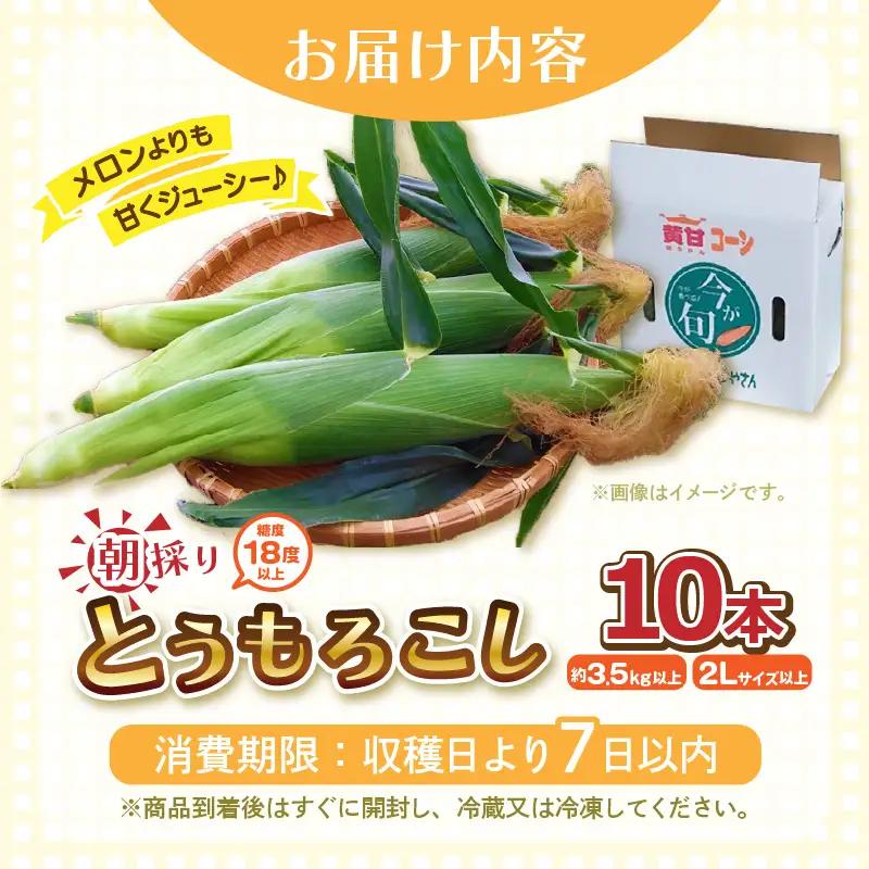 とうもろこし 10本 2Lサイズ以上 2027年6月上旬発送 朝取れ とうもろこし [A-7102] 