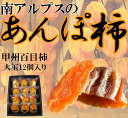 【ふるさと納税】【先行予約】南アルプス市産　あんぽ柿　百目柿　大玉12個　化粧箱入り＜出荷時期：2024年11月1日～12月末＞【 内祝 お祝い 御祝い 御祝 お礼 御礼 プレゼント ギフト 贈り物 お歳暮 お中元 フルーツギフト 山梨県 南アルプス市 】