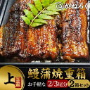 【ふるさと納税】鰻蒲焼重箱「上」2個セット 山椒・漬物付き　ギフト ウナギ 鰻 蒲焼 国産 国内産 プレゼント 誕生日 お歳暮 上田市 コシヒカリ グルメ 贅沢　【 魚料理 和食 日本食 】