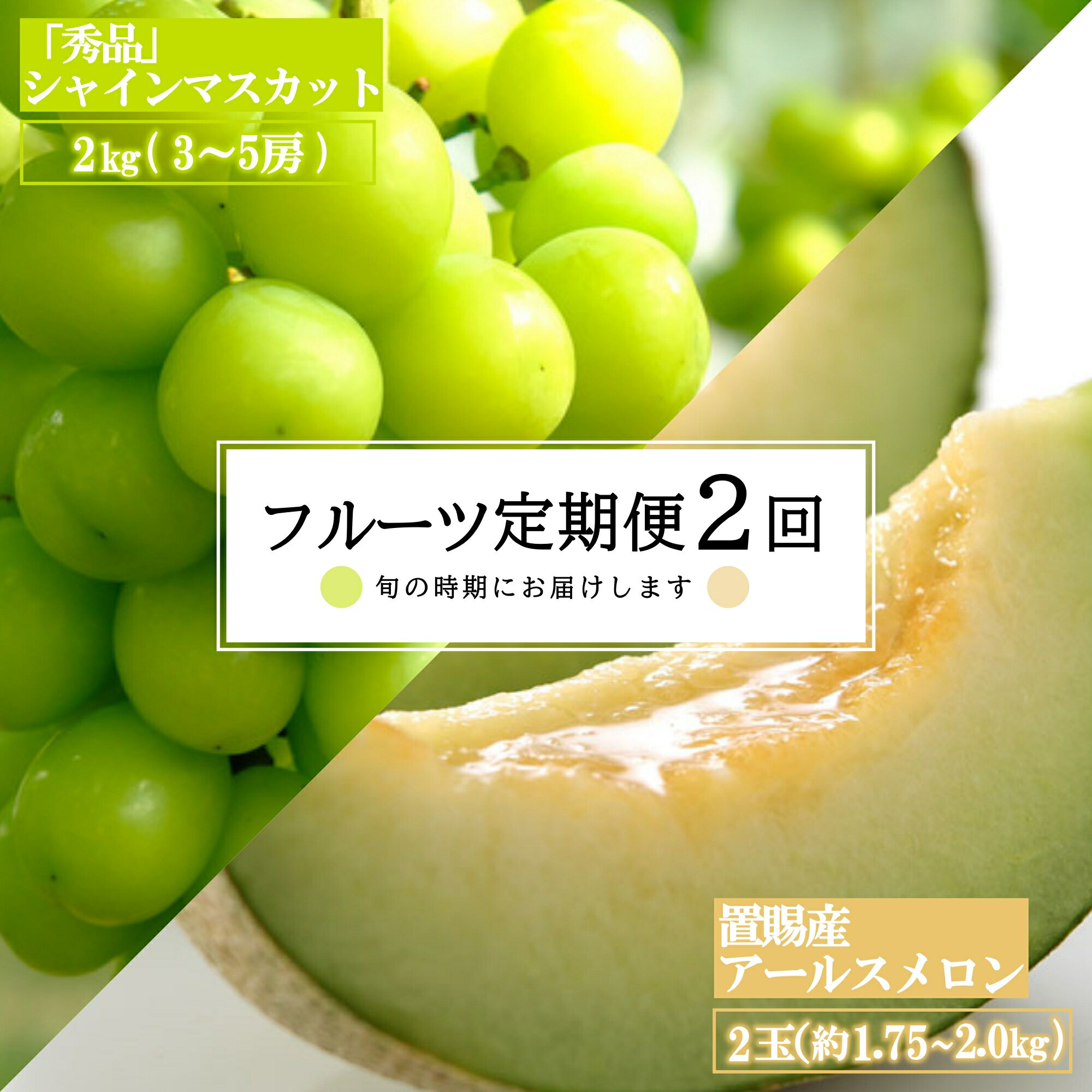 【ふるさと納税】【2025年8月〜10月発送分先行受付】【定期便2回】山形旬の果物2選（メロン/シャインマスカット）_H182(R7)