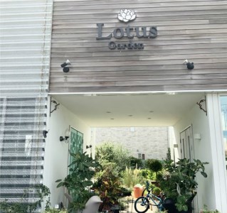 SL0091　インテリアグリーン「ツゲのトピアリー ミニ」