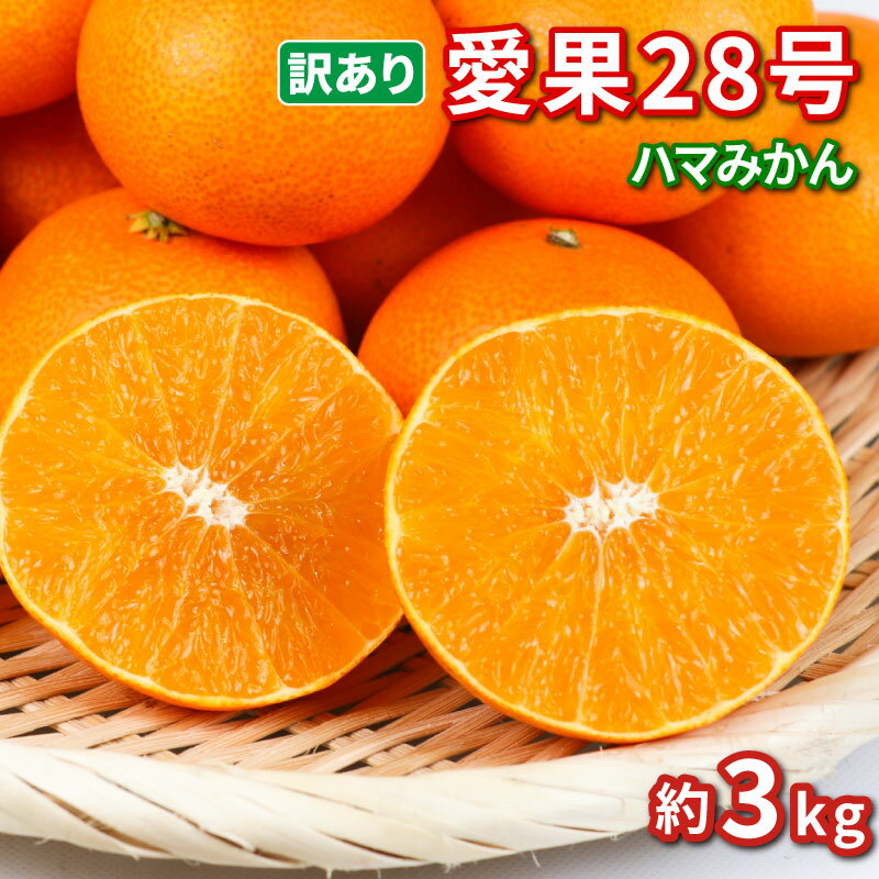 【ふるさと納税】 訳あり 愛果28号 ハウス栽培 約3kg ハマみかん 先行予約 高級 ブランド ゼリー プルプル 限定 品種 甘い 果物 フルーツ 柑橘 みかん サイズ 不揃い ハウス 愛媛ミカン 愛媛蜜柑 愛媛みかん 産地直送 農家直送 数量限定 国産 愛媛 宇和島 B010-075009