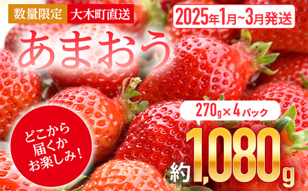 福岡育ちあまおういちご 約270g×4パック 合計1080g 【2023年2月下旬～3月発送】