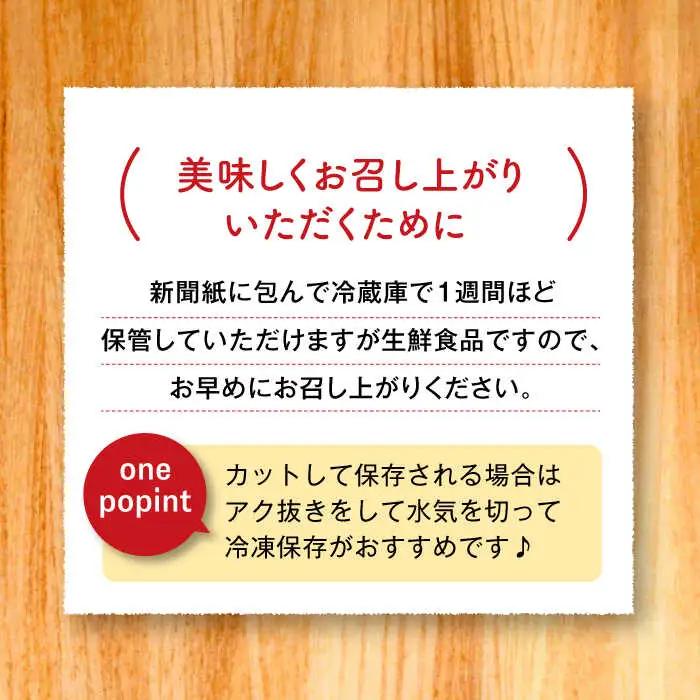 【2026年度発送分 先行予約】有機（オーガニック）泥付き蓮根3kg / 佐賀県 / 吉田農園 [41AHAE003]