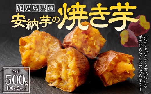 【鹿児島県 種子島産】安納芋 の 焼き芋 合計500g（100g×5パック） 芋 焼きいも おいも いも_ss1583_CR